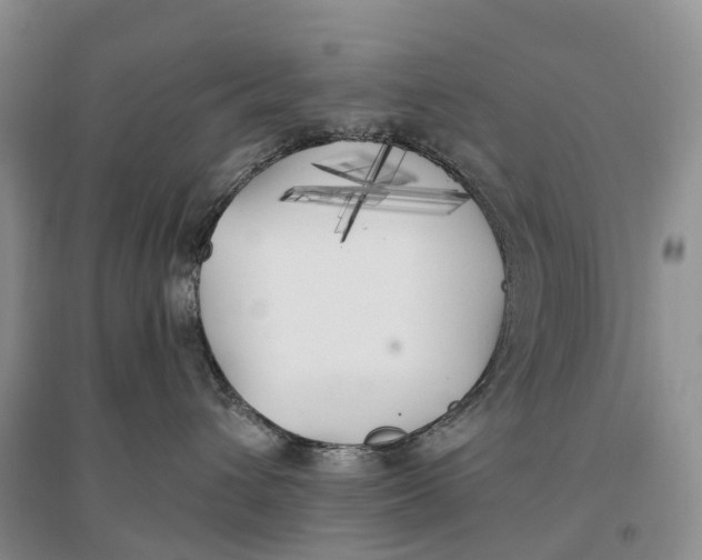 X0000096720432200802261658