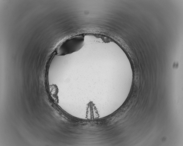 X0000096720434200802261658