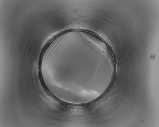 X0000096720438200802261658