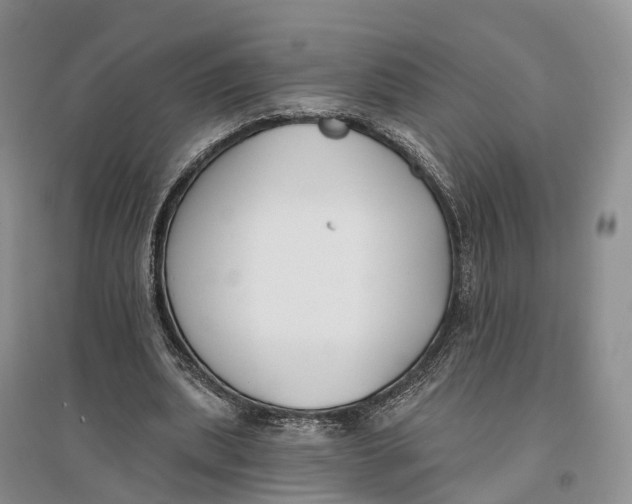 X0000096720439200802261658