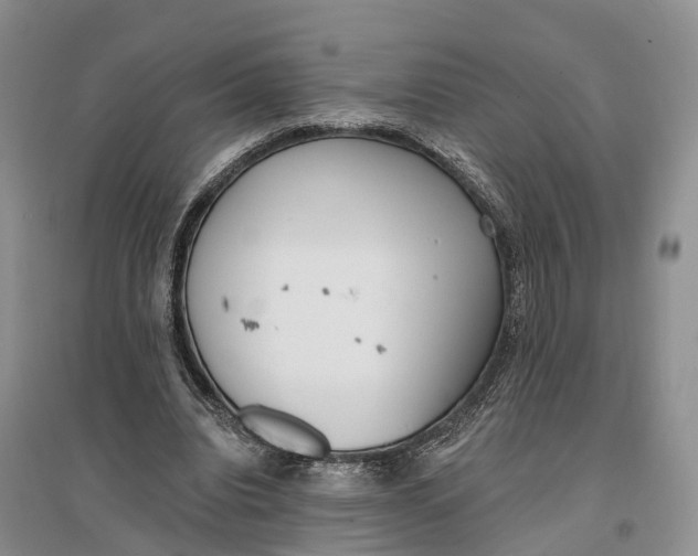 X0000096720440200802261658