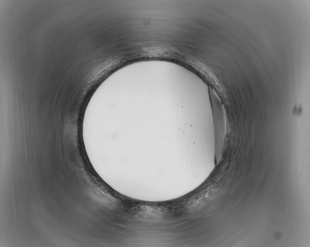 X0000096720442200802261658