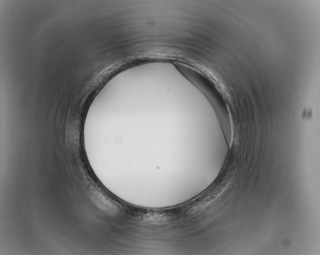 X0000096720445200802261658