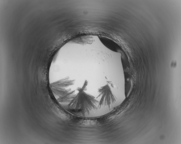 X0000096720449200802261658