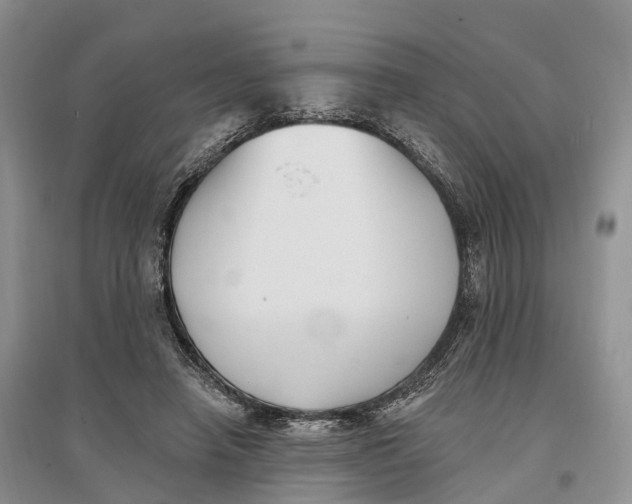 X0000096720450200802261658