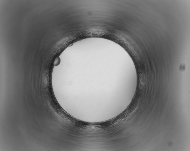 X0000096720451200802261658