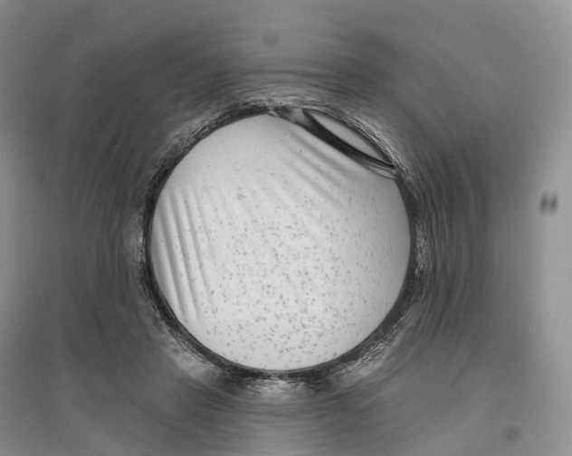 X0000096720453200802261658