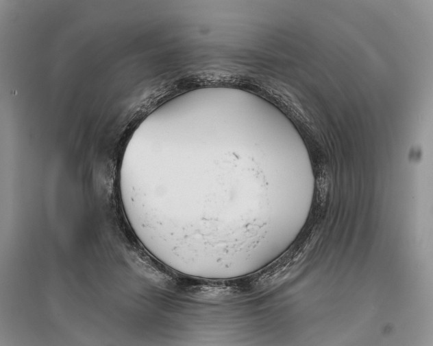 X0000096720458200802261658