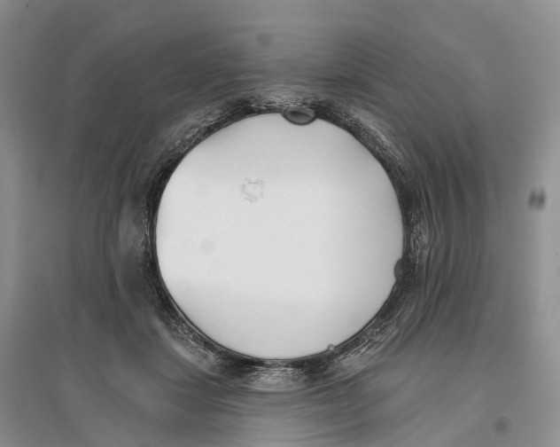 X0000096720459200802261658