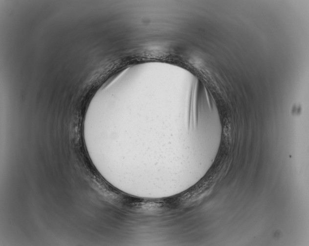 X0000096720462200802261658