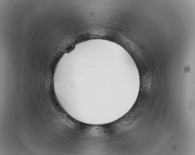 X0000096720463200802261658