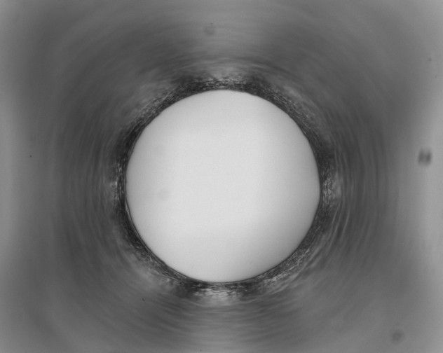 X0000096720464200802261658