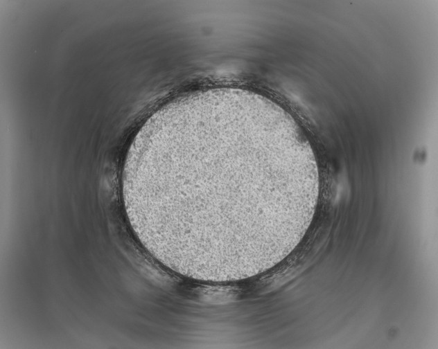 X0000096720465200802261658