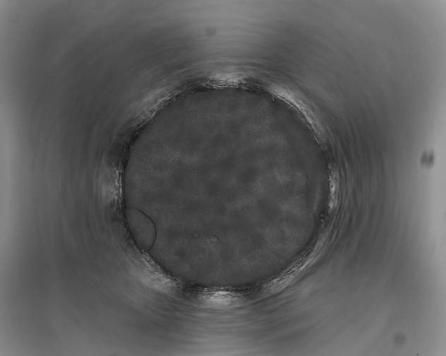 X0000096720467200802261658