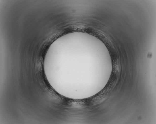 X0000096720468200802261658