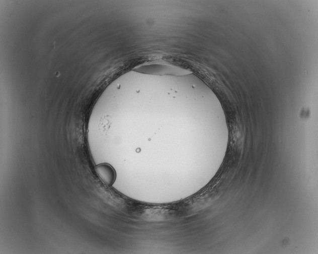 X0000096720470200802261658