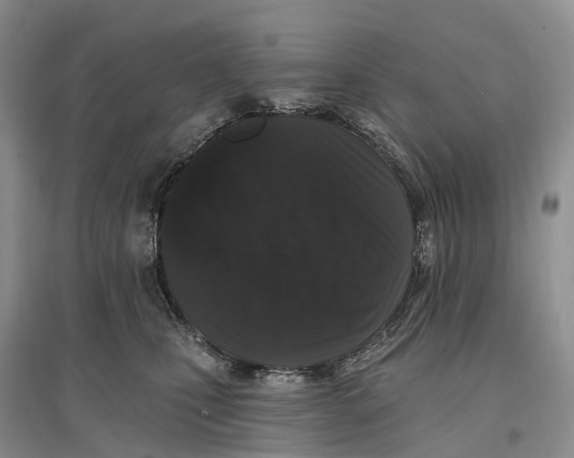 X0000096720471200802261658