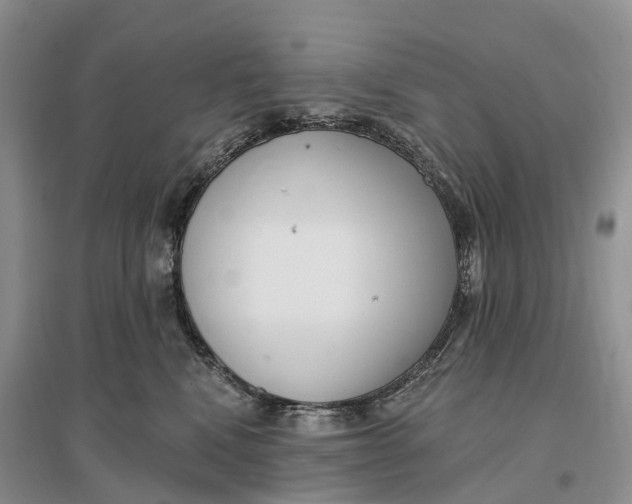 X0000096720472200802261658