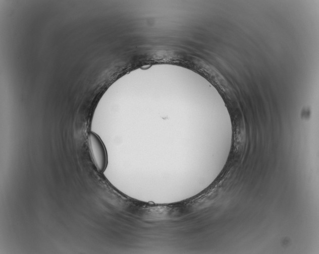 X0000096720473200802261658