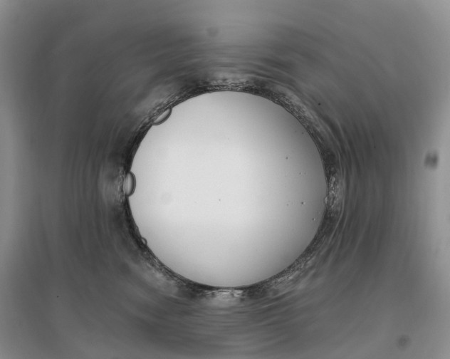 X0000096720474200802261658