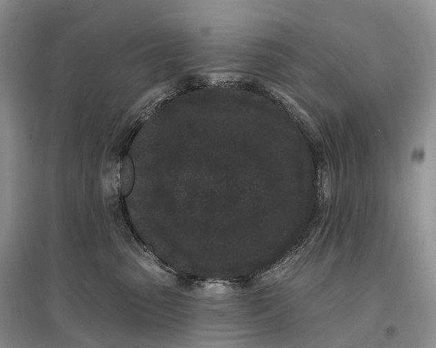 X0000096720475200802261658