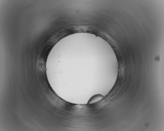 X0000096720477200802261658