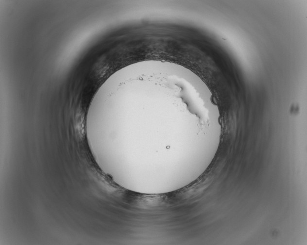 X0000096720479200802261658