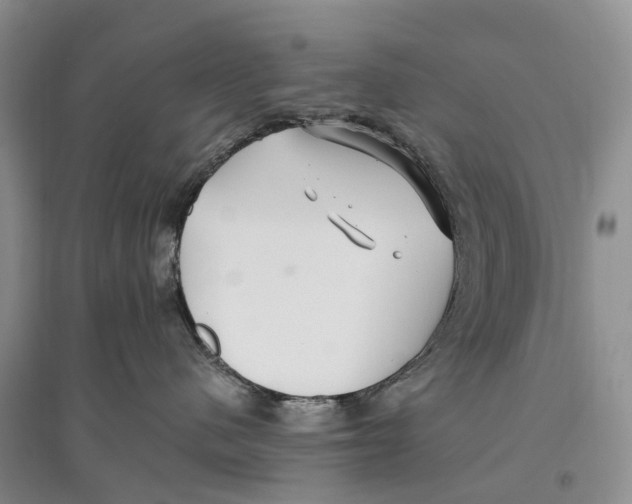 X0000096720480200802261658