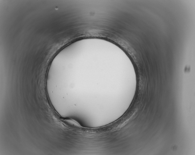 X0000096720481200802261658