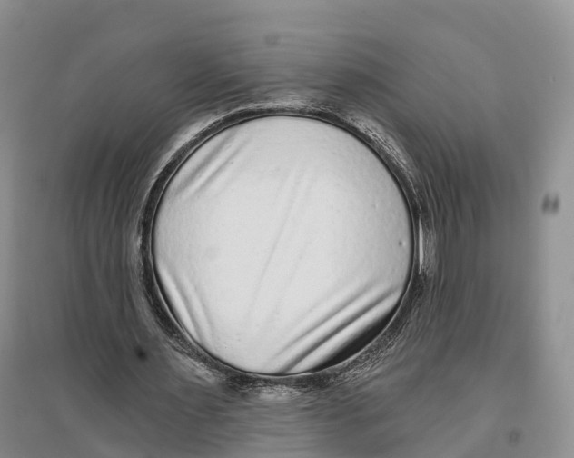 X0000096720483200802261658