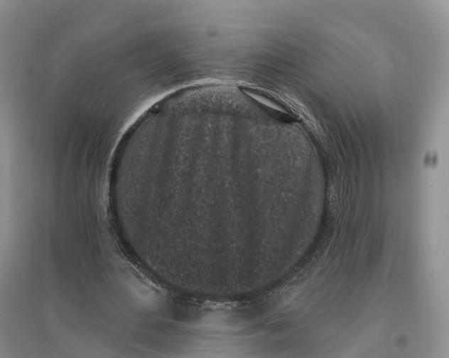 X0000096720484200802261658