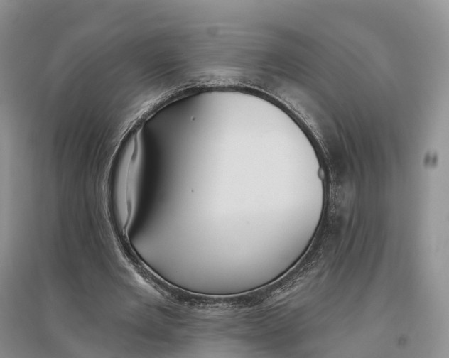 X0000096720485200802261658