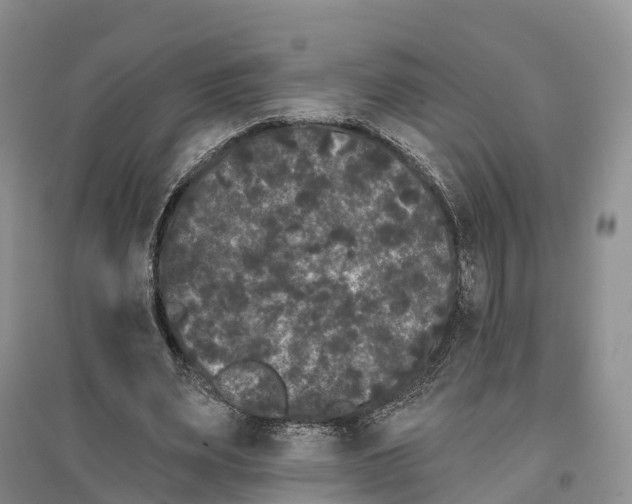 X0000096720487200802261657