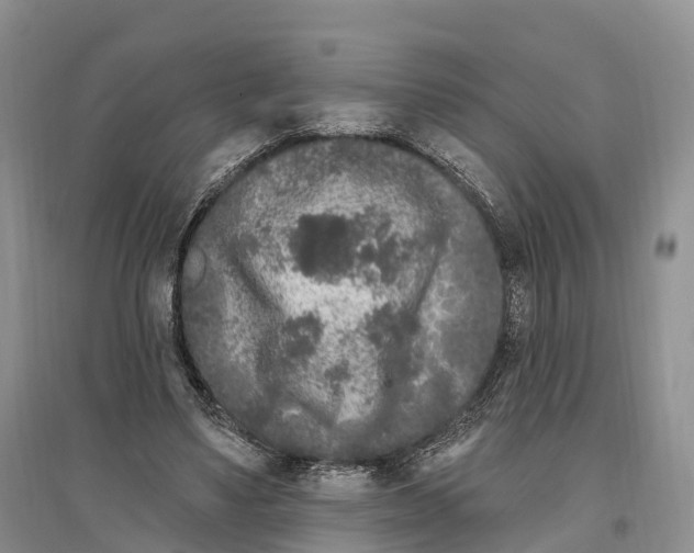 X0000096720491200802261657