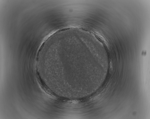 X0000096720492200802261657