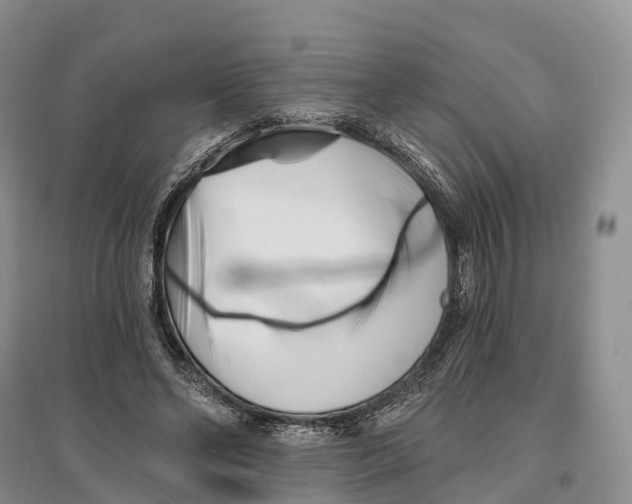 X0000096720494200802261657