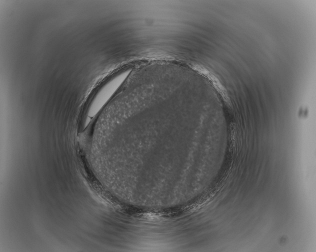 X0000096720496200802261657