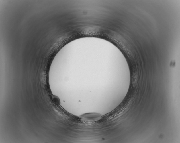 X0000096720497200802261657