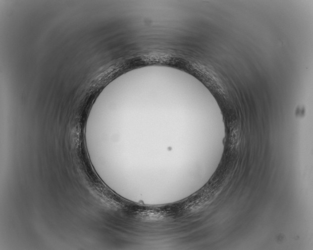 X0000096720498200802261657