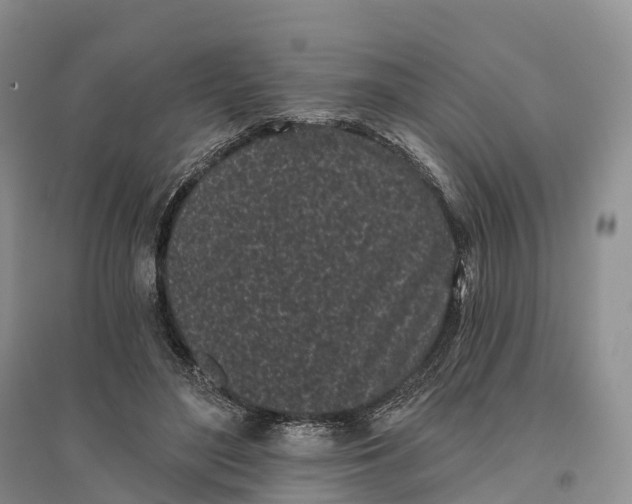 X0000096720500200802261657