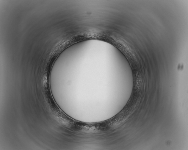 X0000096720502200802261657