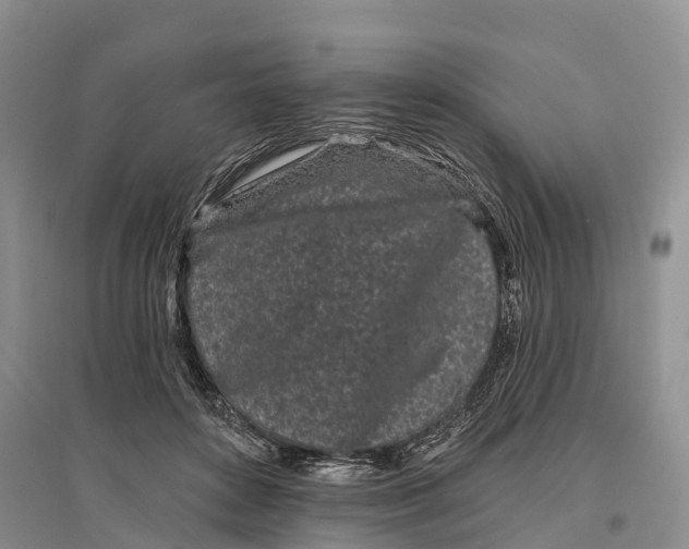 X0000096720504200802261657