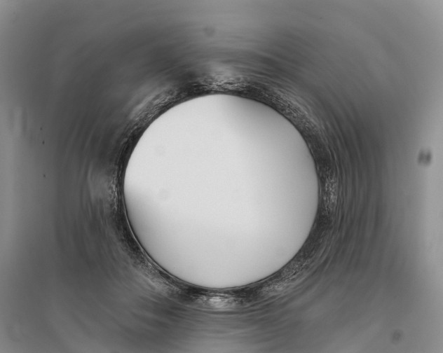 X0000096720506200802261657