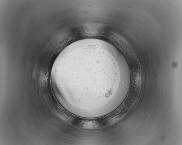 X0000096720507200802261657