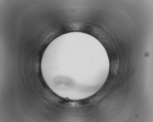 X0000096720509200802261657