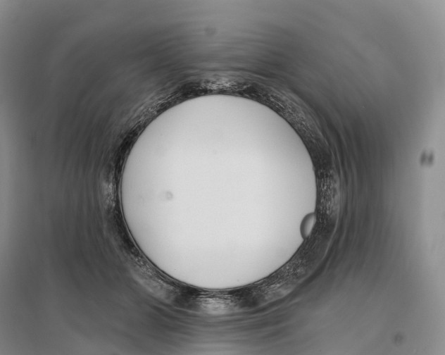 X0000096720510200802261657