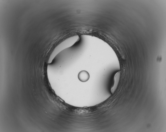 X0000096720512200802261657