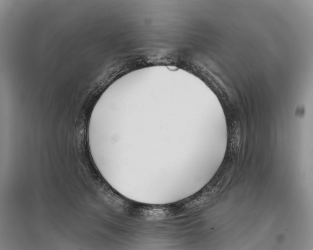 X0000096720513200802261657