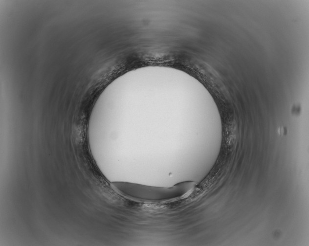 X0000096720515200802261657