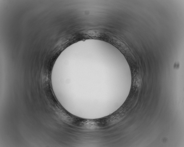 X0000096720518200802261657